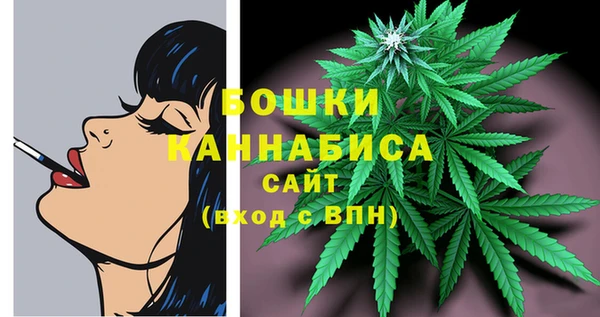 ПСИЛОЦИБИНОВЫЕ ГРИБЫ Куйбышев