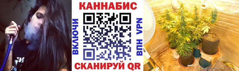 МАРИХУАНА сатива  Купить где  Велиж 